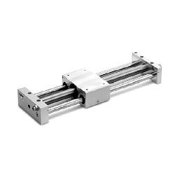 Rodless Cylinder - Ball Bushing Bearing, REAL Series